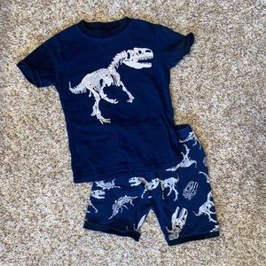 Boys Fossil Dino Pajamas